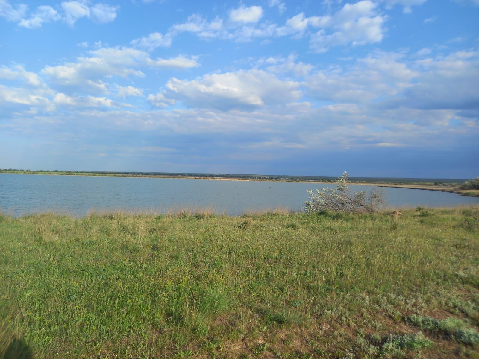 Фото №1: Коммерция 114 м² - Межводное, ул. Черноморское шоссе, 103