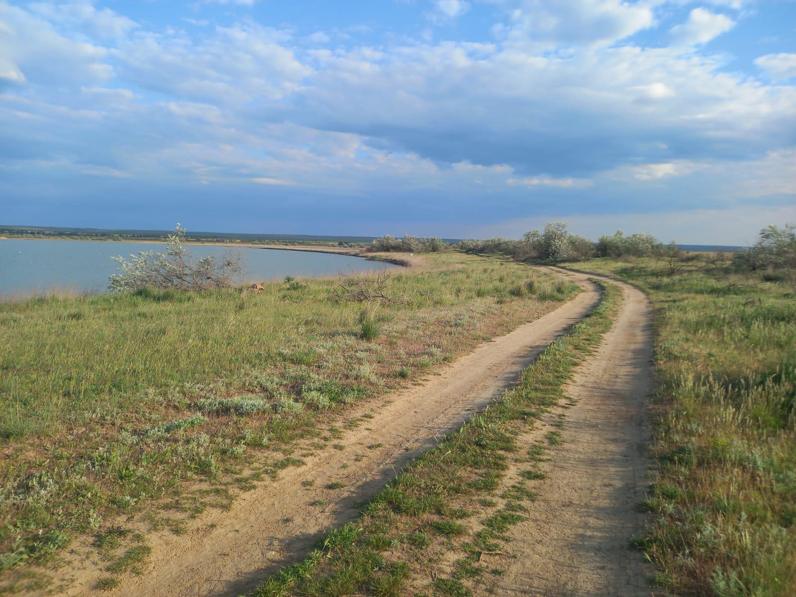 Фото №2: Коммерция 114 м² - Межводное, ул. Черноморское шоссе, 103