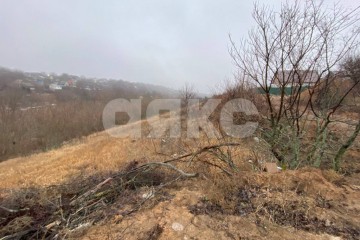 Фото №3: Участок садоводство - Волгоград, мкр. СНТ Любитель, ул. Солнечникова