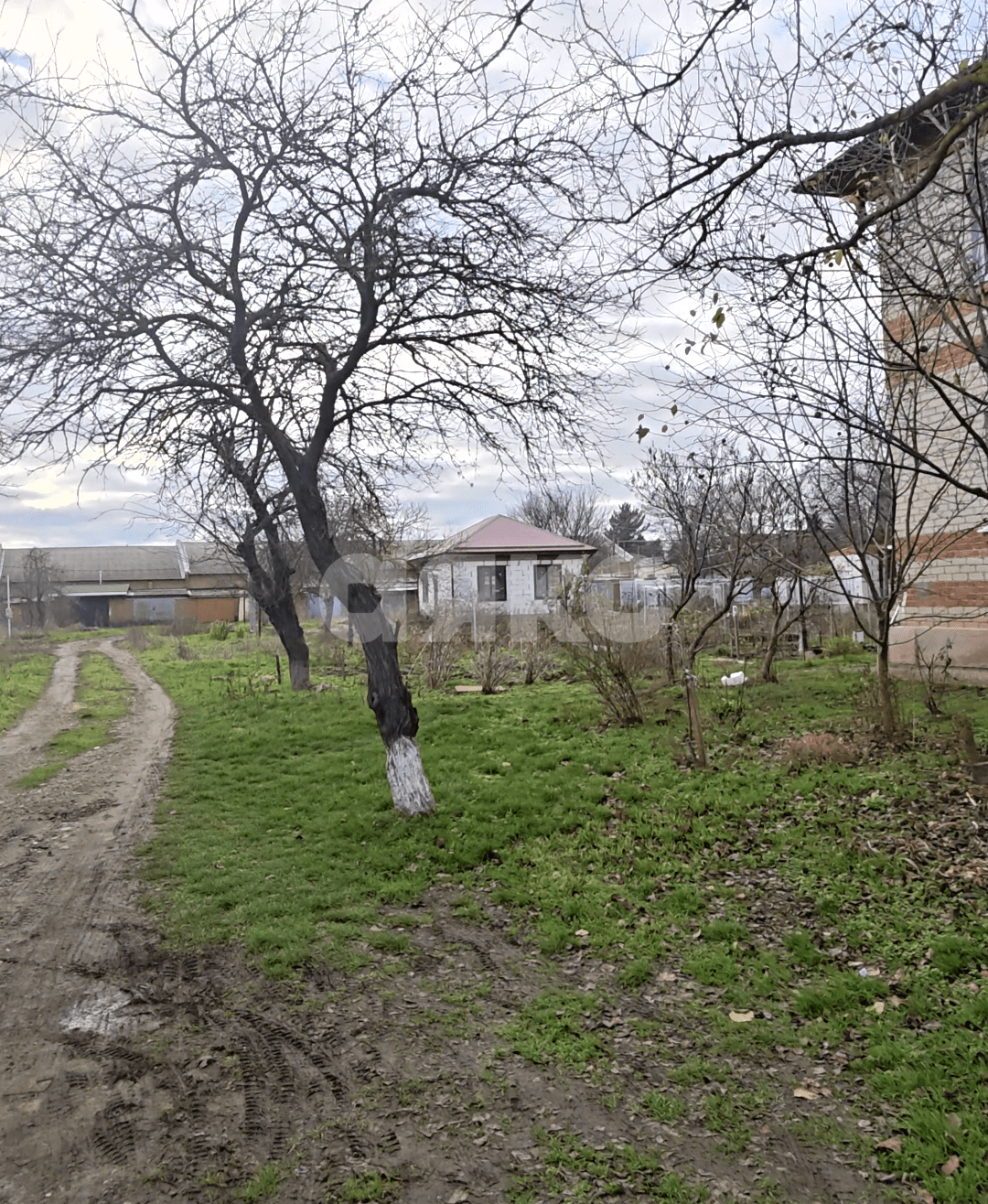 Фото №1: Земельный участок под ИЖС 3.7 сот. - Кореновск, ул. Киевская