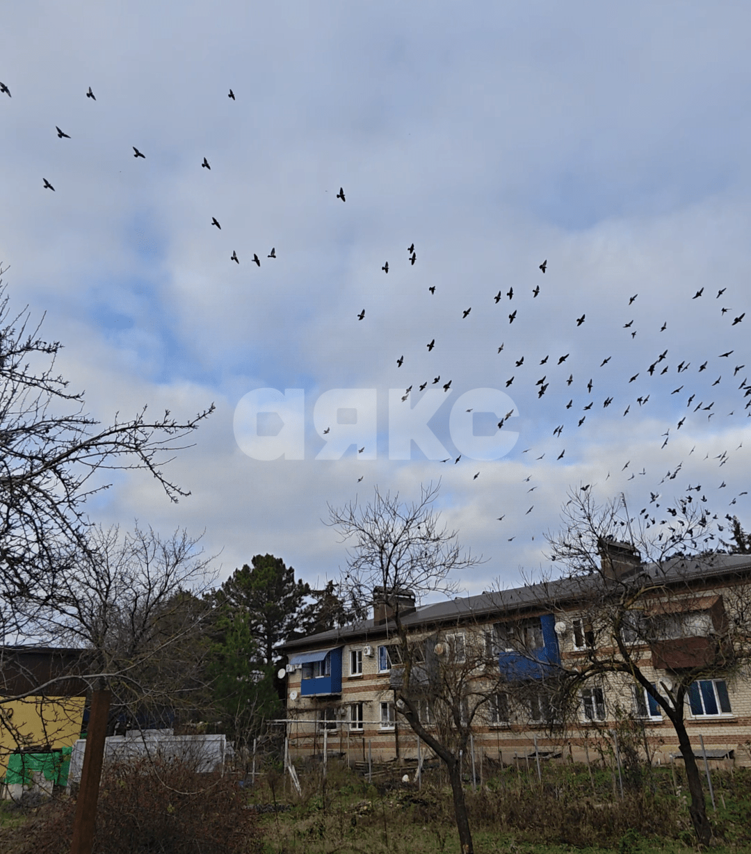Фото №2: Земельный участок под ИЖС 3.7 сот. - Кореновск, ул. Киевская