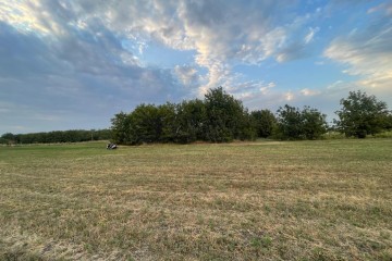 Фото №2: Участок садоводство 12 сот. - Новый Сад, ул. Ленина, 1