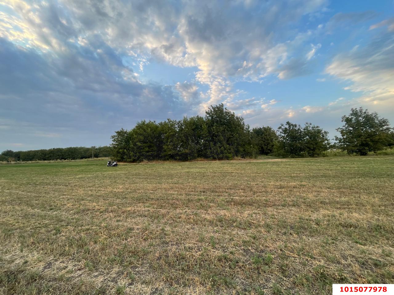 Фото №2: Участок садоводство 12 сот. - Новый Сад, ул. Ленина, 1