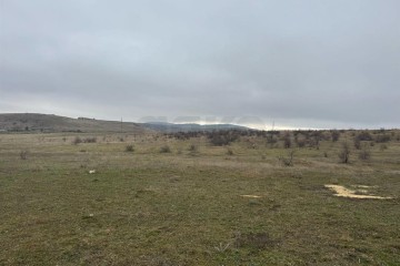 Фото №3: Участок садоводство 12 сот. - Новый Сад, ул. Ленина, 1