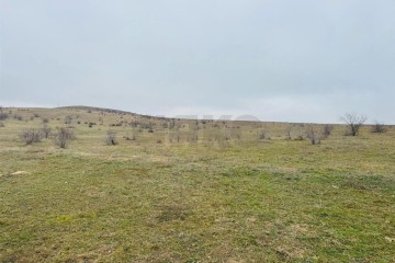 Фото №1: Участок садоводство 12 сот. - Новый Сад, ул. Ленина, 1