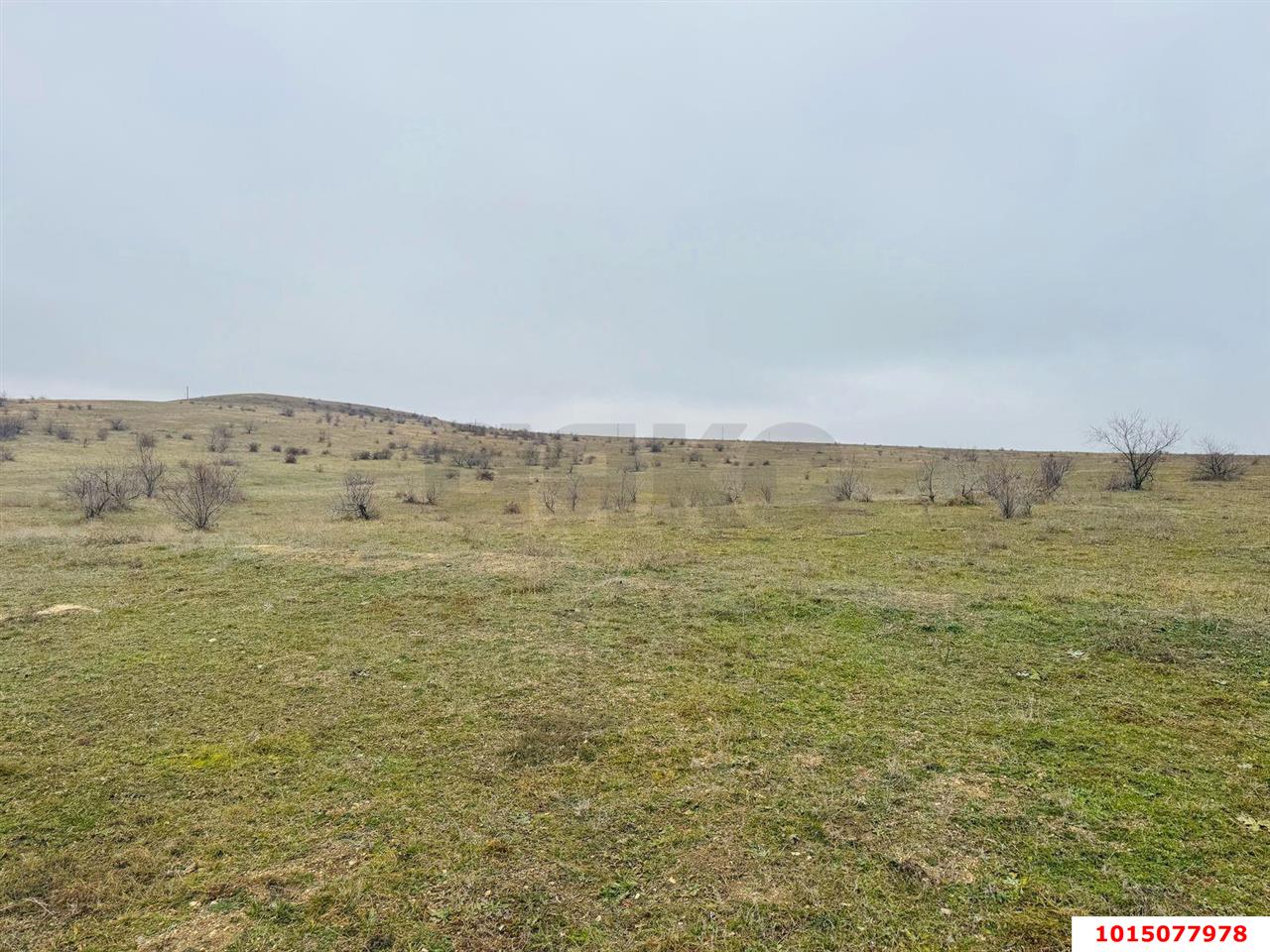 Фото №1: Участок садоводство 12 сот. - Новый Сад, ул. Ленина, 1