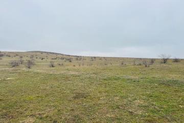 Фото №1: Земельный участок 12 сот. - Новый Сад, ул. Ленина, 1