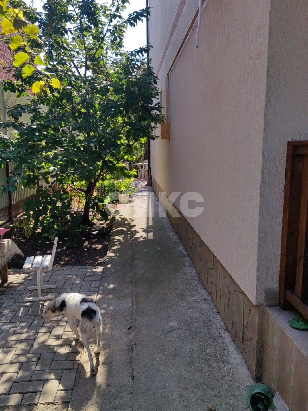 Фото №22: Дом 147 м² + 4.5 сот. - Анапа, Алексеевка, ул. Терновая