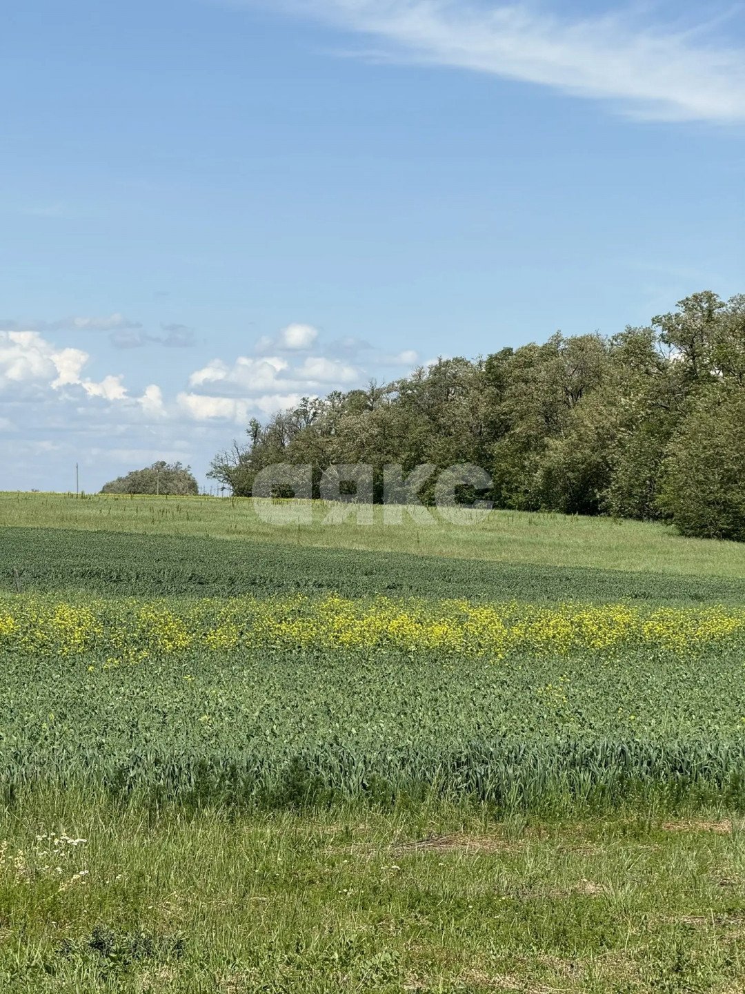 Фото №19: Личное подсобное хозяйство 2000 сот. - Сергиевская, ул. Выгонная