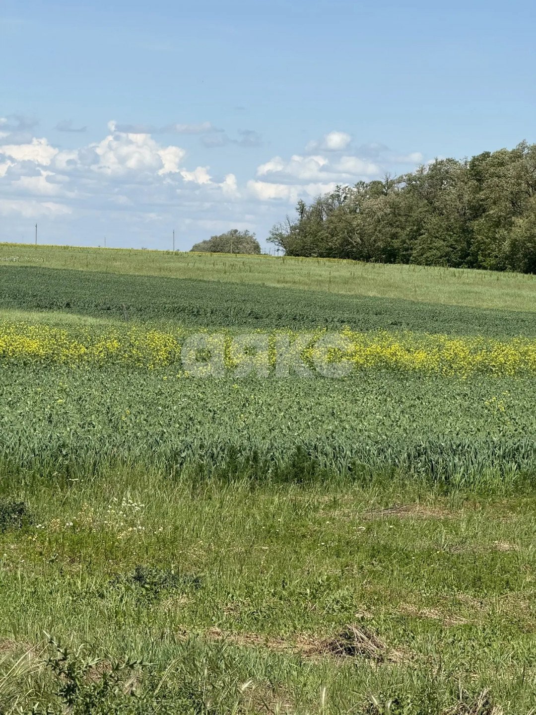 Фото №16: Личное подсобное хозяйство 2000 сот. - Сергиевская, ул. Выгонная