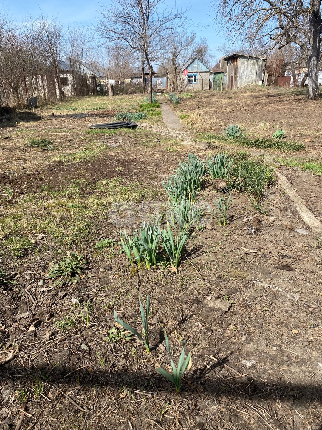 Фото №10: Дача 12 м² + 4.06 сот. - Майкоп, ДНТ Космос, ул. Фабричная