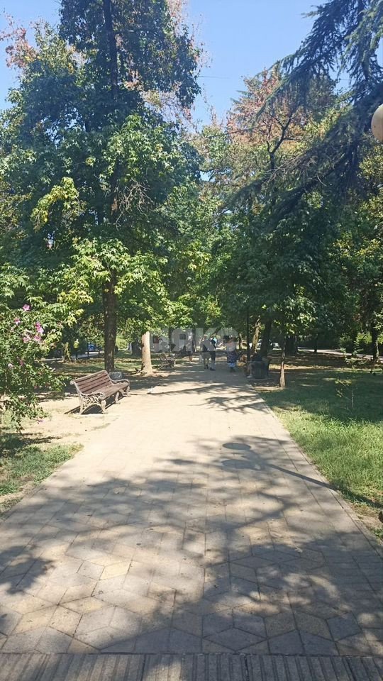 Фото №17: 2-комнатная квартира 47 м² - Сочи, Гагарина, ул. Гагарина, 38