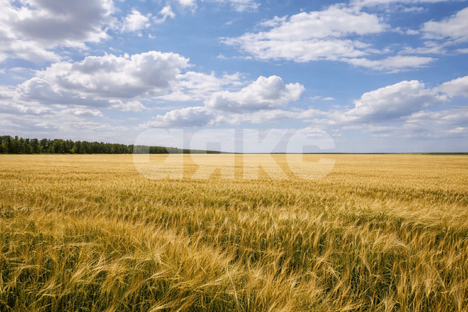 Фото №2: Коммерческая земля 12 сот. - Калинино