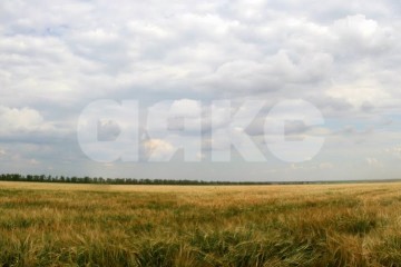 Фото №1: Коммерческая земля - Калинино, 