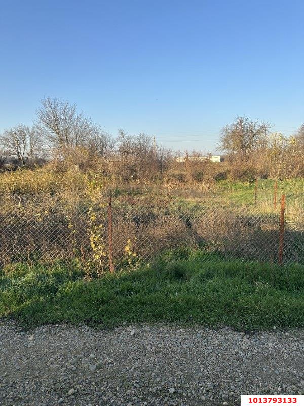 Фото №3: Личное подсобное хозяйство - Южная Кубань, мкр. Карасунский внутригородской округ, ул. Центральная, 645