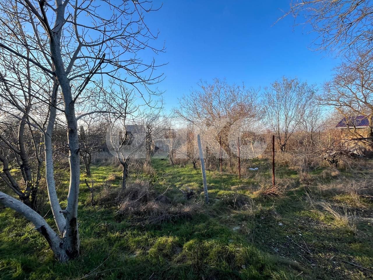 Фото №13: Участок садоводство 8 сот. - садовые участки 3-й массив, ул. Усадебная