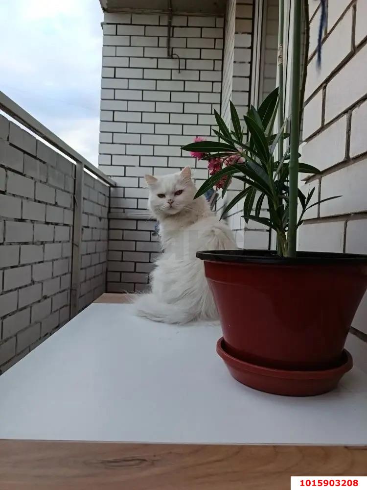 Фото №15: 1-комнатная квартира 25 м² - Краснодар, Светлоград, ул. Красных Партизан, 1/3к6