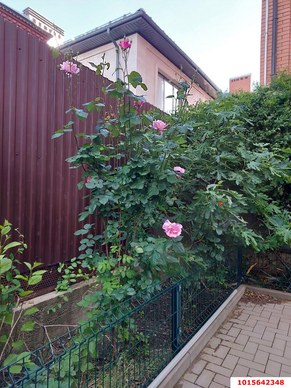 Фото №12: Дом 579 м² + 5.93 сот. - Краснодар, Славянский, пр-д 3-й Линии, 12