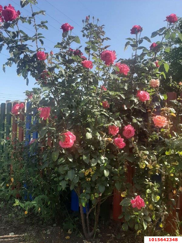 Фото №14: Дом 579 м² + 5.93 сот. - Краснодар, Славянский, пр-д 3-й Линии, 12