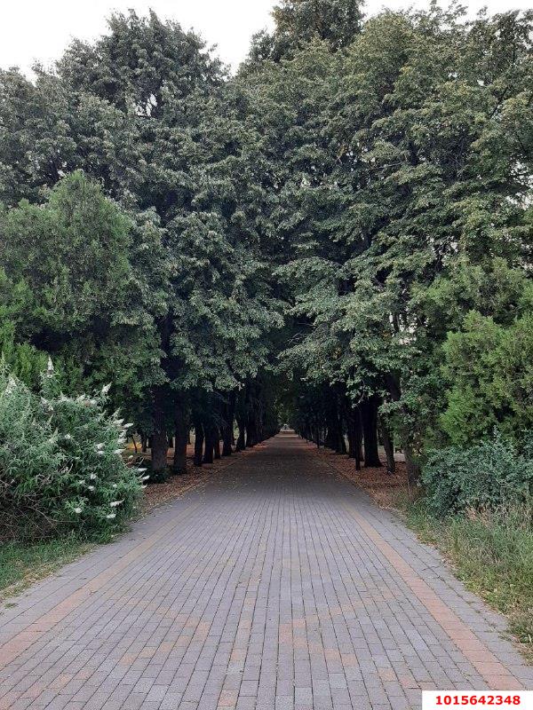 Фото №16: Дом 579 м² + 5.93 сот. - Краснодар, Славянский, пр-д 3-й Линии, 12