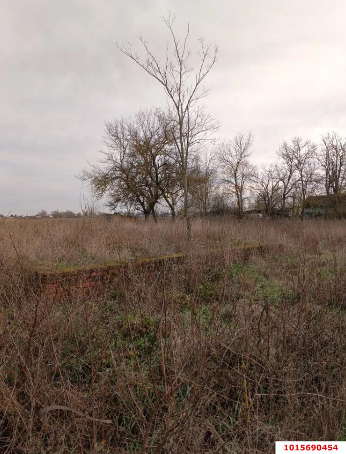 Фото №3: Земельный участок под ИЖС 15 сот. - Староджерелиевская, ул. Дружбы