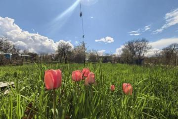 Фото №2: Дом 55 м² - Энем, ул. Пролетарская