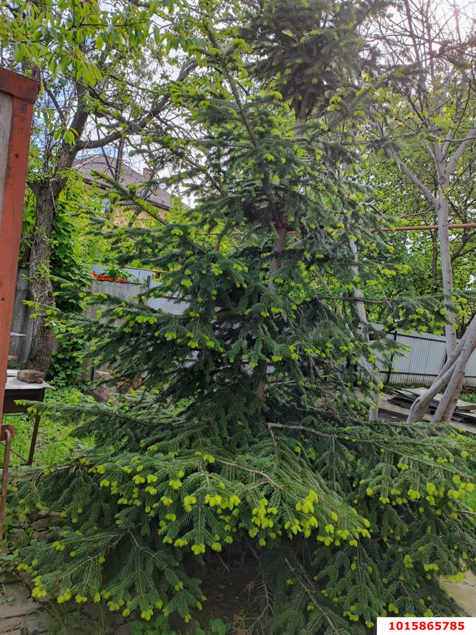 Фото №11: Дом 111 м² + 4.93 сот. - Краснодар, Садовод, ул. Главная, 606