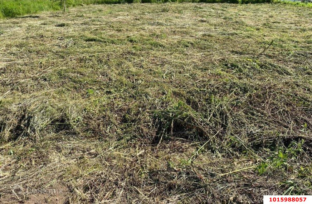 Фото №3: Участок садоводство 4.1 сот. - Дружба, Карасунский внутригородской округ, ул. Грушевая, 23