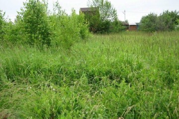 Фото №4: Земельный участок под ИЖС 4 сот. - Южный, ул. Восточная, 60