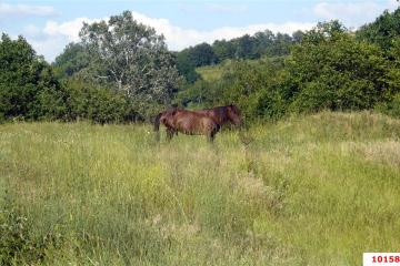 Фото №1: Земельный участок под ИЖС - Южный, ул. Крайняя, 84