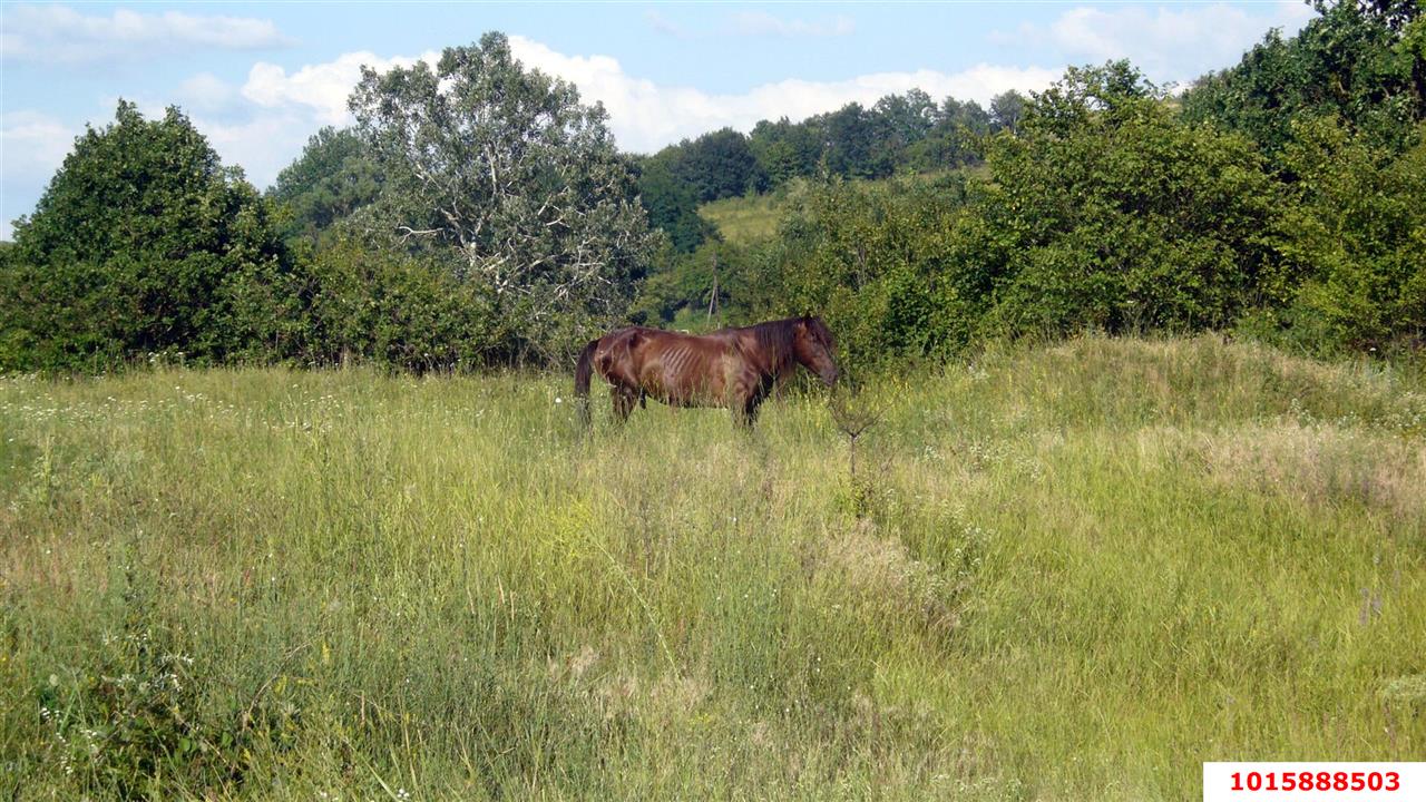 Фото №1: Земельный участок под ИЖС - Южный, ул. Крайняя, 84