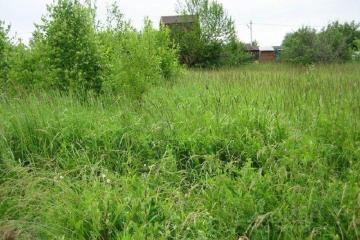 Фото №2: Земельный участок под ИЖС - Южный, ул. Крайняя, 84