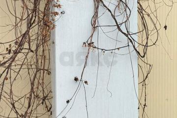 Фото №3: Земельный участок 6.57 сот. - Краснодар, мкр. Сельскохозяйственный Институт, ул. Академика Трубилина, 48