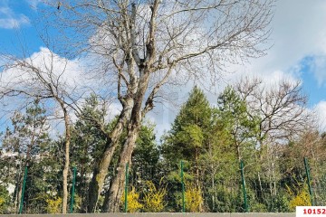 Фото №3: Земельный участок под ИЖС 6.5 сот. - Козет, мкр. КП Зелёный остров, 