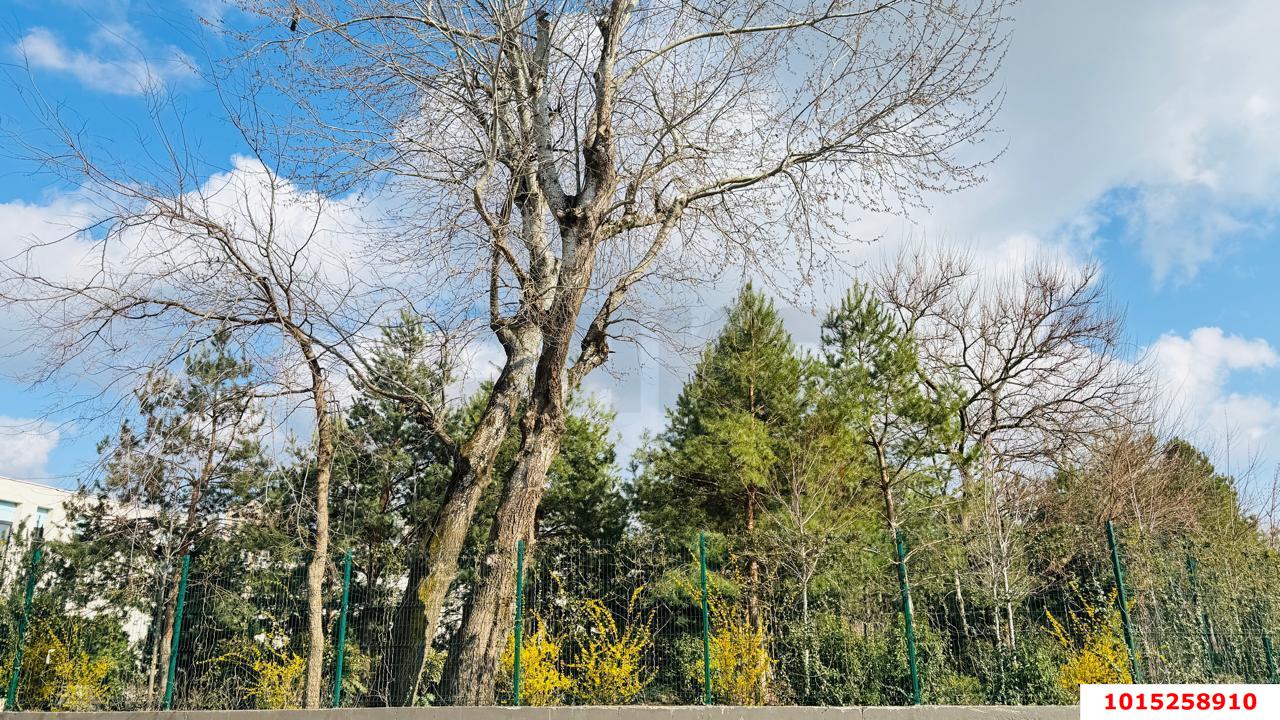 Фото №3: Земельный участок под ИЖС 6.5 сот. - Козет, КП Зелёный остров