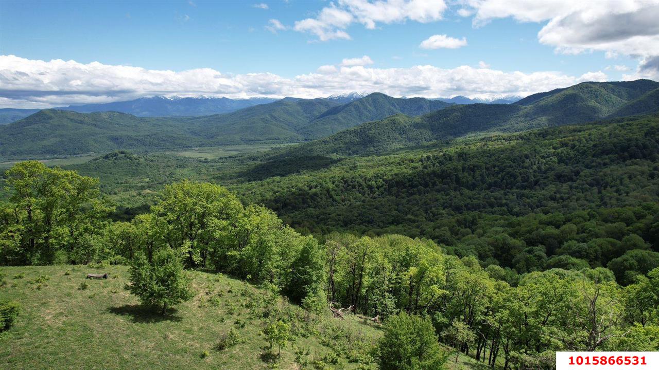 Фото №1: Коммерческая земля 98 сот. - Даховская