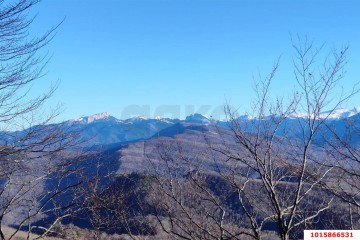 Фото №5: Коммерческая земля 98 сот. - Даховская, 