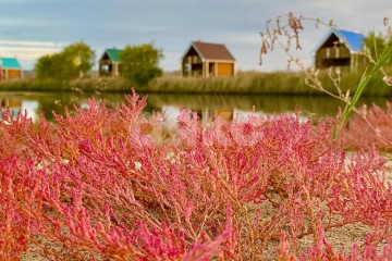 Фото №2: Коммерция 90000 м² - Чумбур-Коса, ул. Береговая