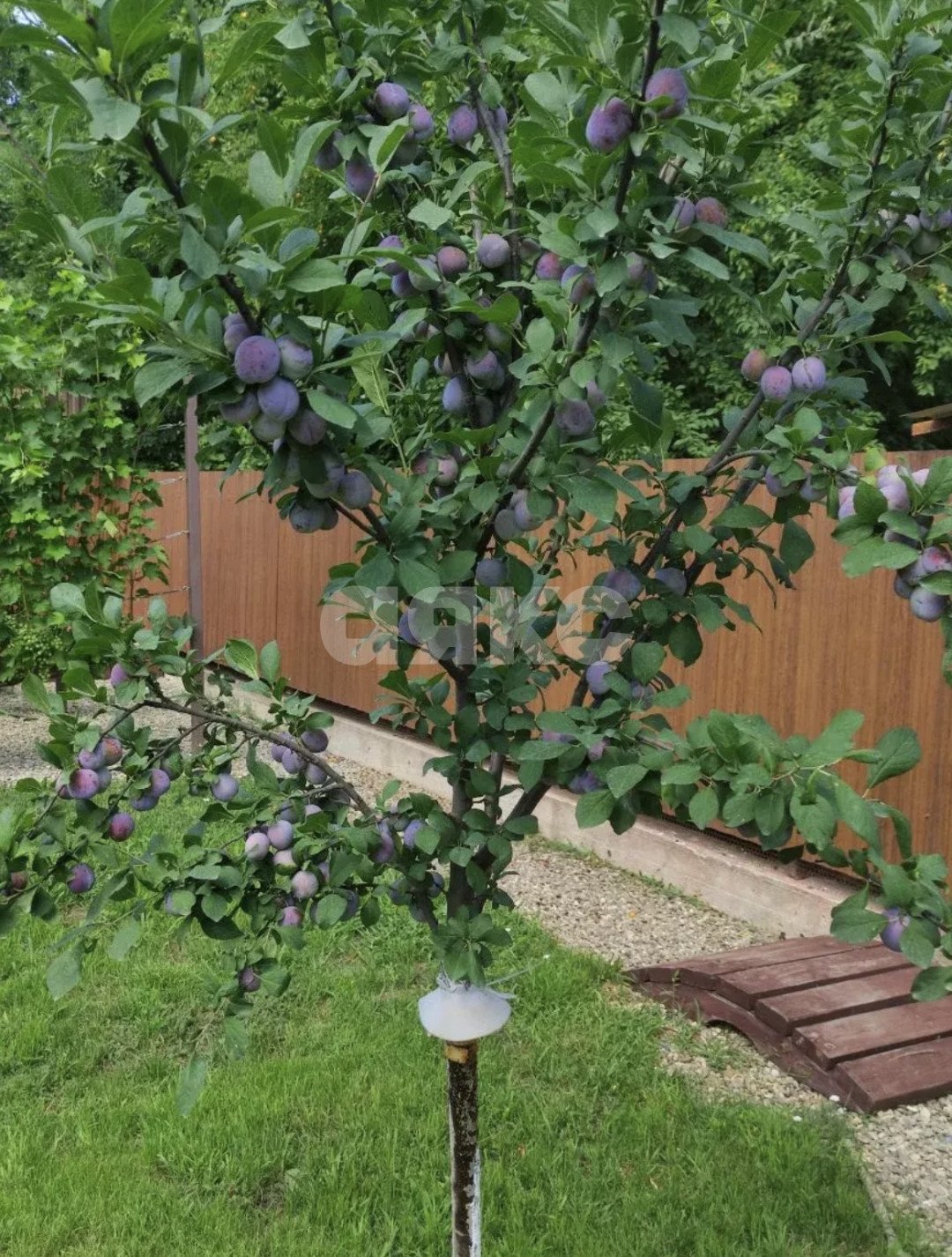 Фото №12: Дом 98 м² + 4 сот. - Горячий Ключ, Развилка, мкр. Развилка, ул. Восточная