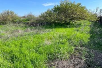 Фото №1: Земельный участок 6.7 сот. - Октябрьский, мкр. Прикубанский внутригородской округ, 