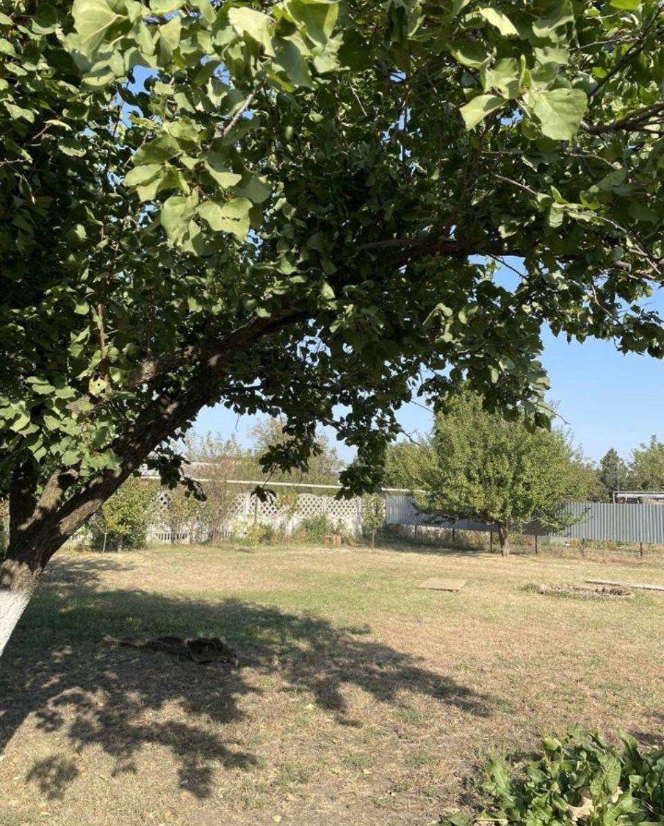 Фото №2: Земельный участок 5.3 сот. - Марьянская, пер. Западный, 21