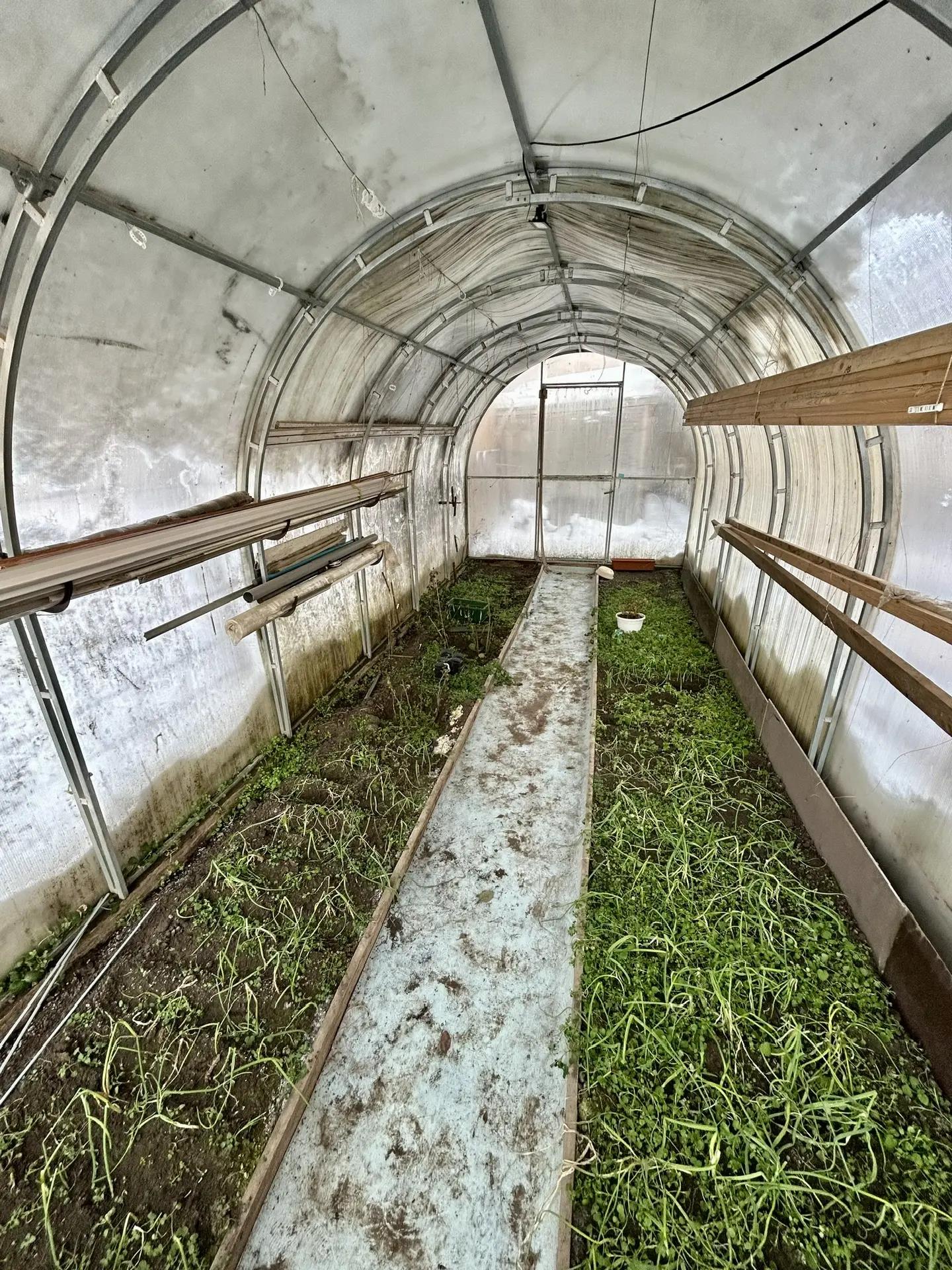 Фото №16: Дом 122 м² + 4.65 сот. - Краснодар, Прикубанский внутригородской округ, СНТ Российский, мкр. СНТ Россинский, ул. Ореховая, 10