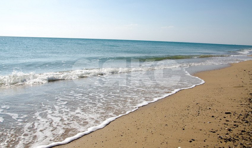 Фото №1: Участок садоводство 6.7 сот. - Молочное, ул. Пионерская