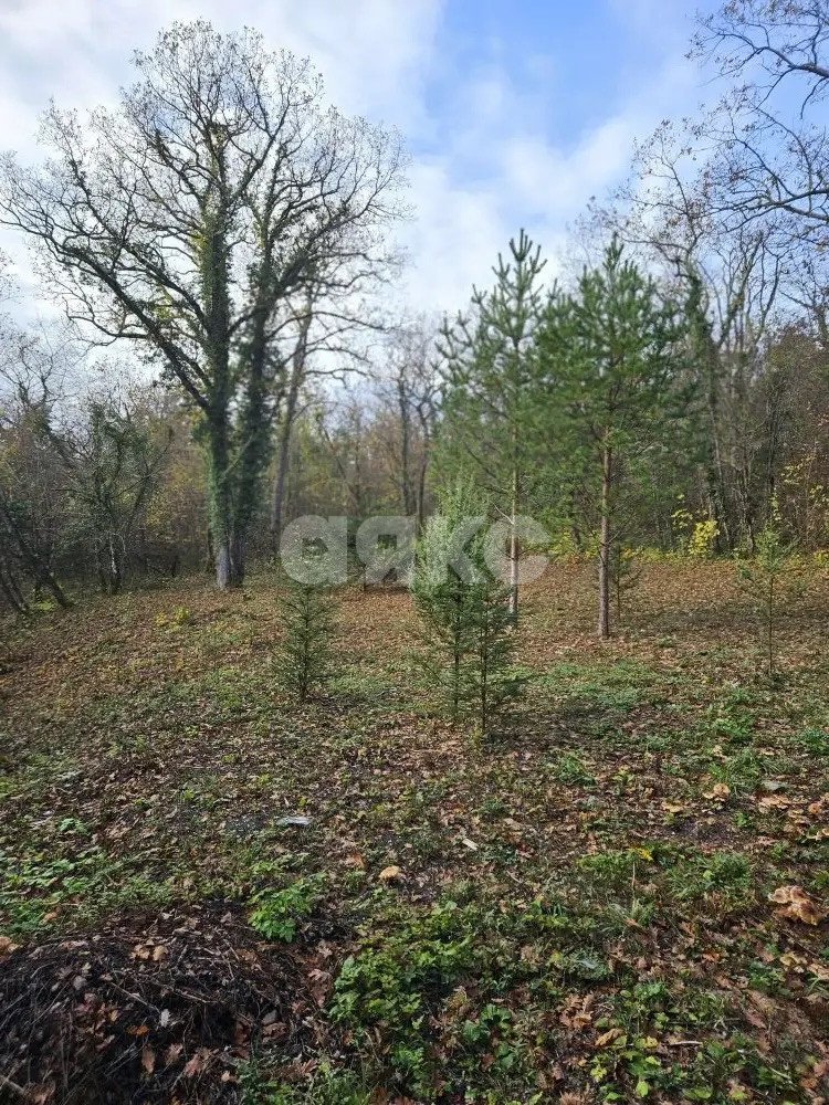 Фото №3: Участок садоводство 4.4 сот. - СНТ Морская Гавань, 60