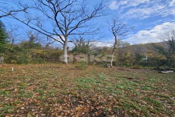 Фото №1: Участок садоводство - СНТ Морская Гавань, 60