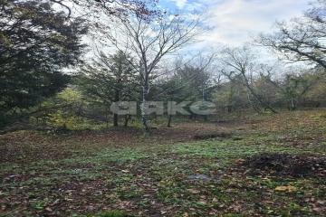 Фото №4: Участок садоводство - СНТ Морская Гавань, 60