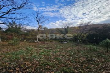 Фото №2: Участок садоводство - СНТ Морская Гавань, 60