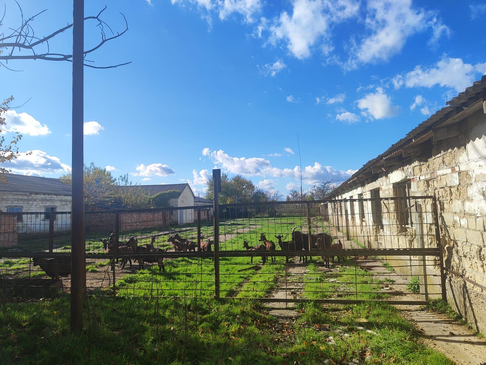 Фото №4: Коммерция 750 м² - Львовское, пер. Сквозной, 2