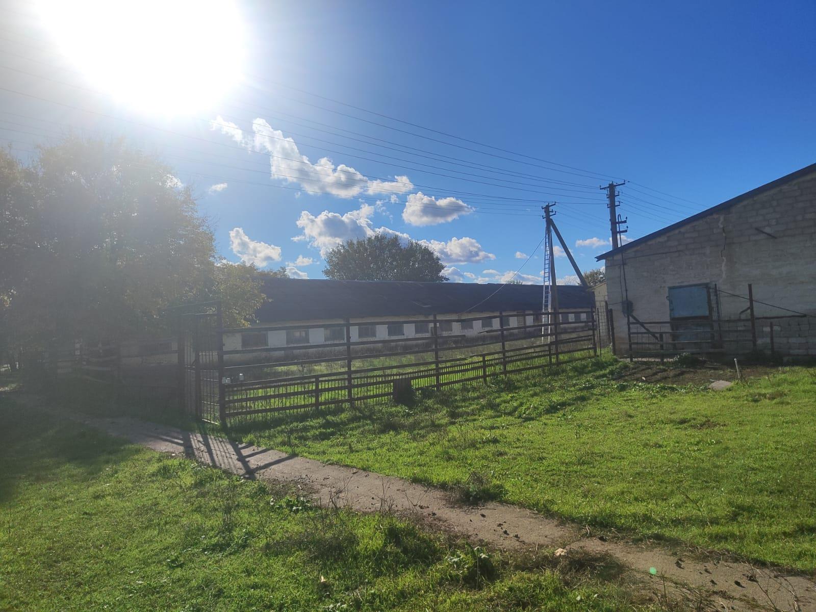 Фото №1: Коммерция 750 м² - Львовское, пер. Сквозной, 2