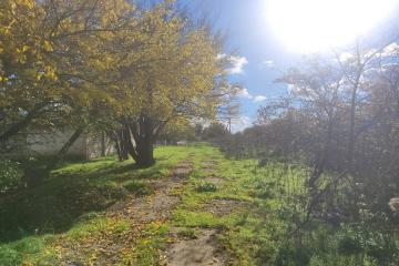 Фото №5: Коммерция 750 м² - Львовское, пер. Сквозной, 2